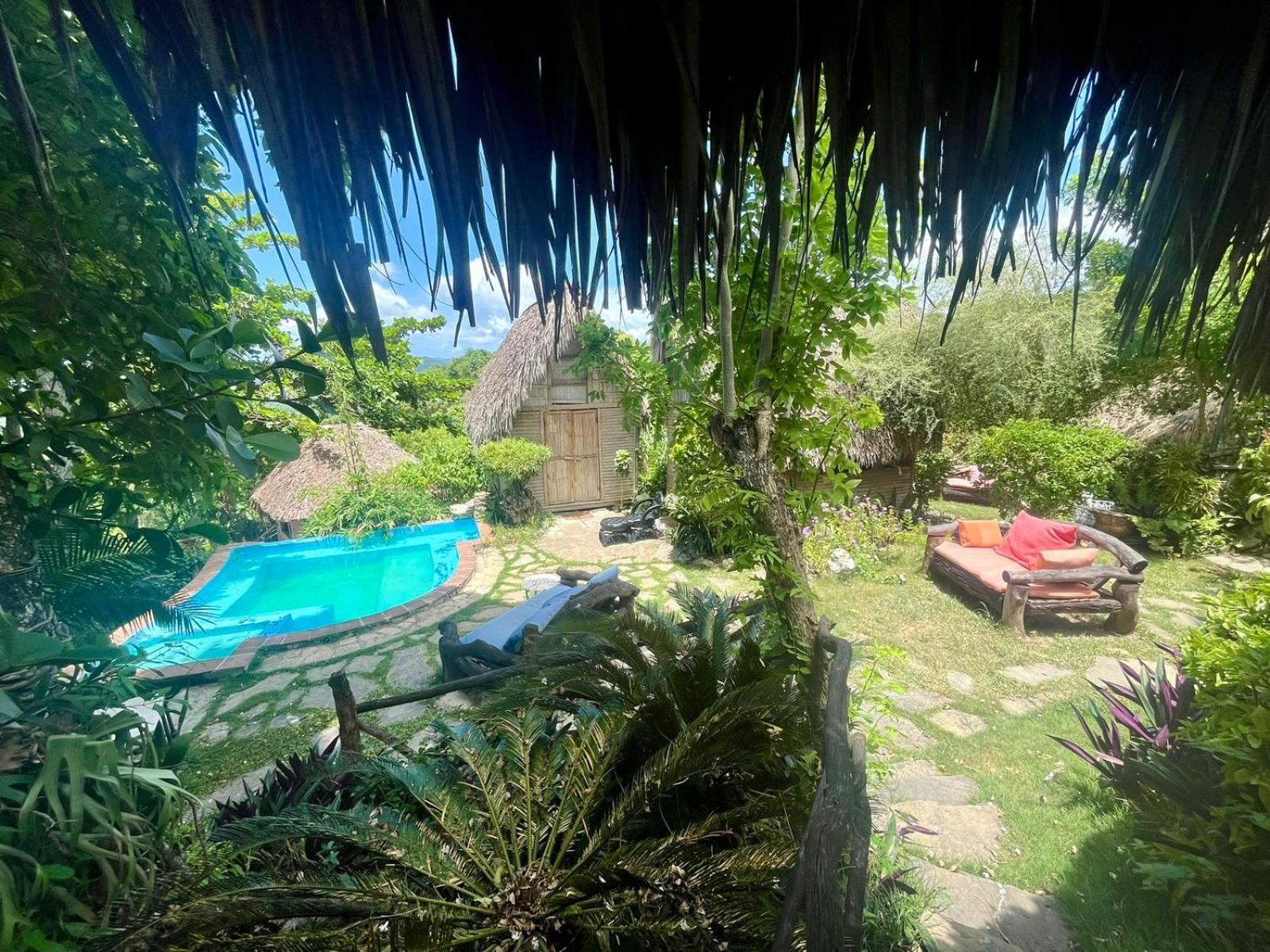 Ecolodge Tubagua Puerto Plata מראה חיצוני תמונה