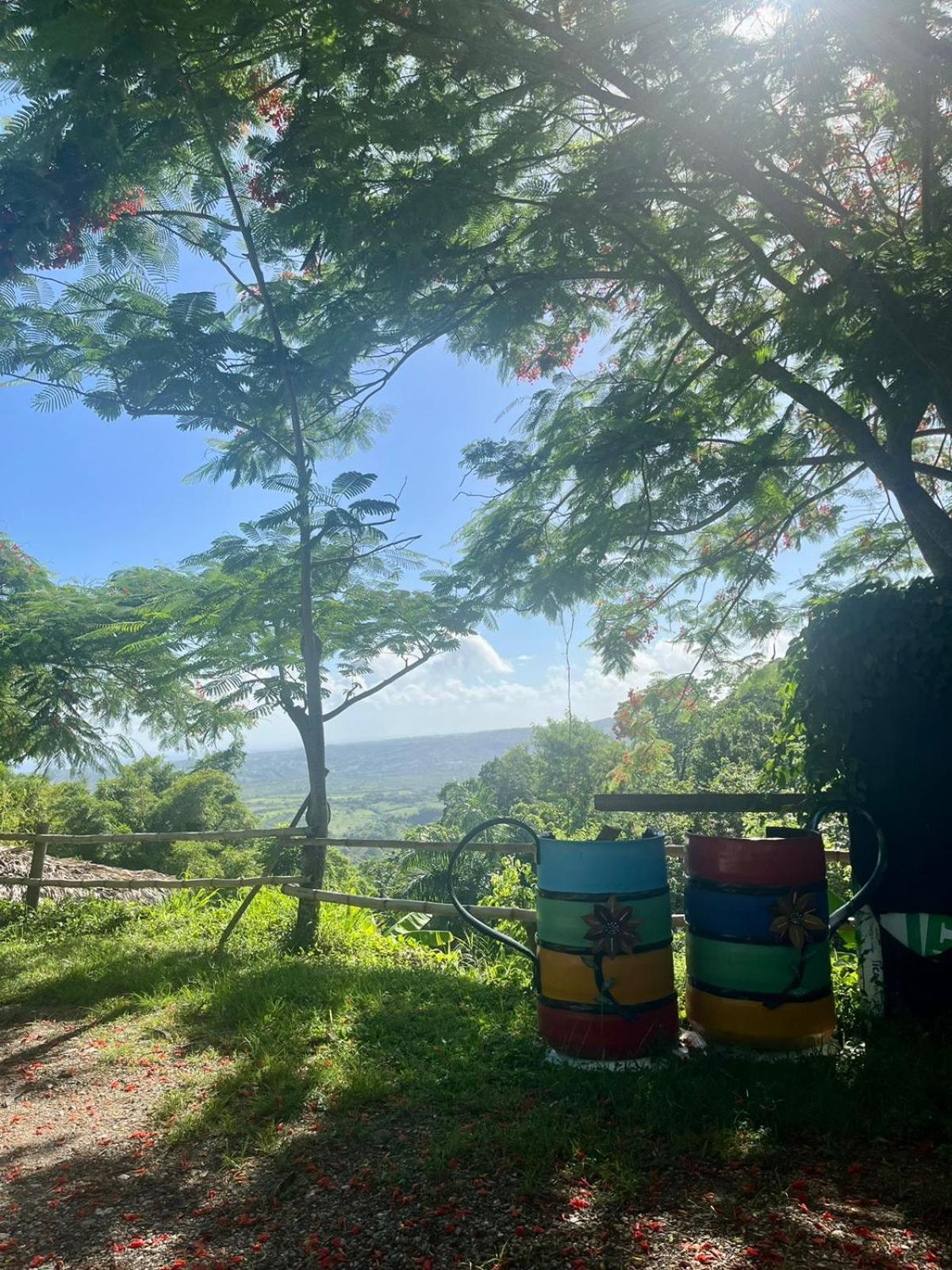 Ecolodge Tubagua Puerto Plata מראה חיצוני תמונה