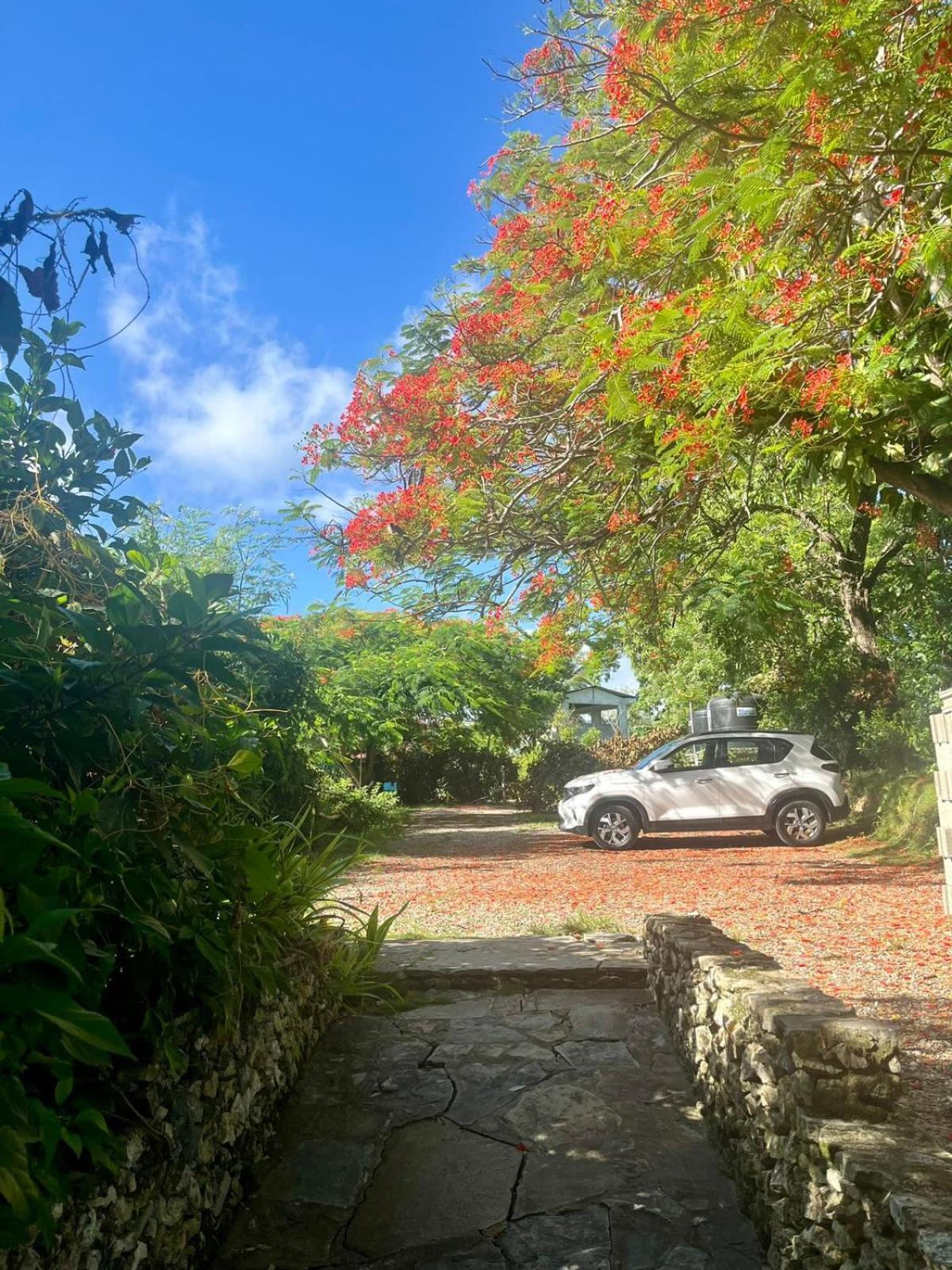 Ecolodge Tubagua Puerto Plata מראה חיצוני תמונה