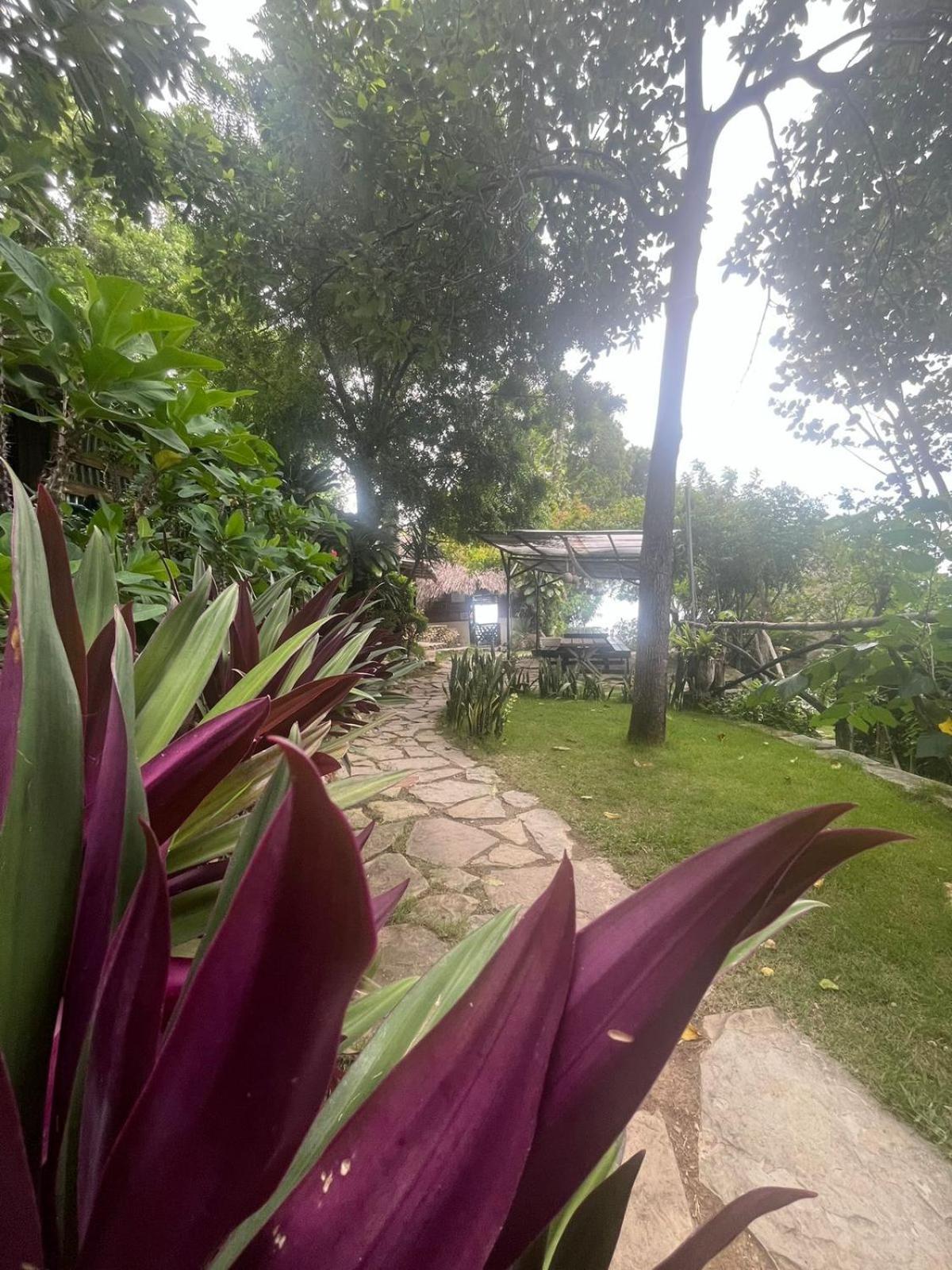 Ecolodge Tubagua Puerto Plata מראה חיצוני תמונה