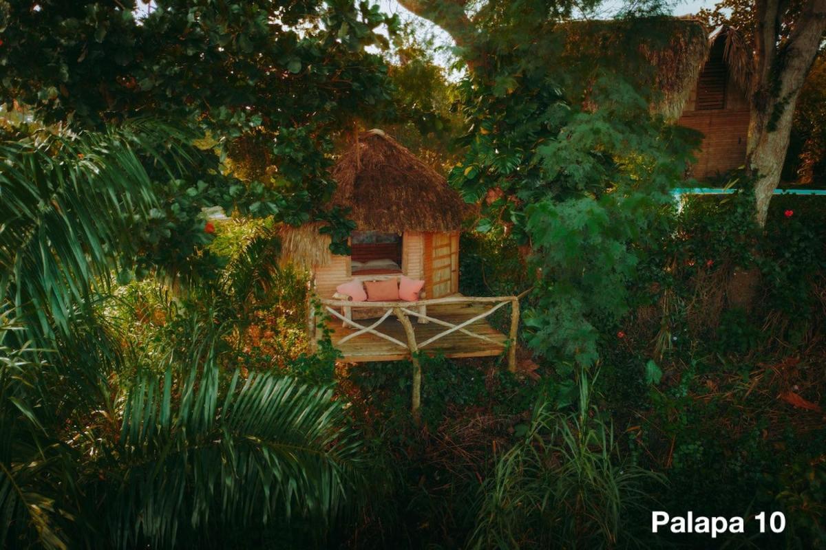 Ecolodge Tubagua Puerto Plata מראה חיצוני תמונה