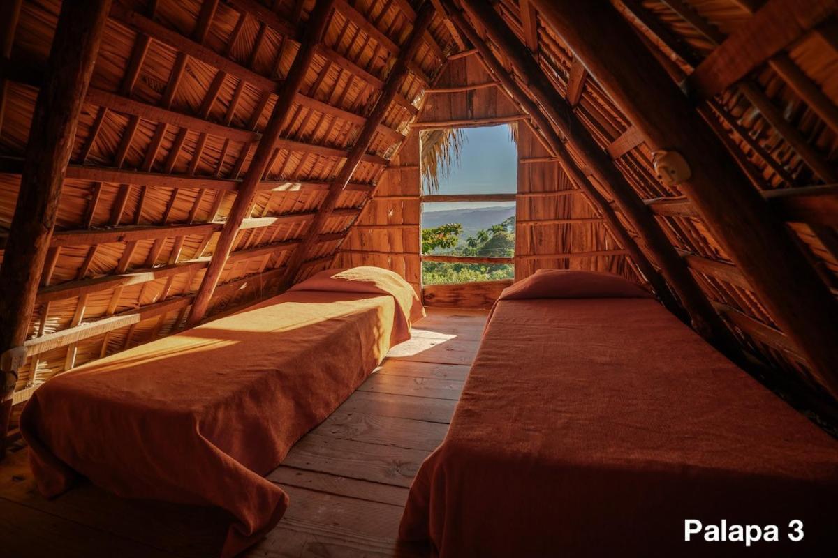 Ecolodge Tubagua Puerto Plata מראה חיצוני תמונה