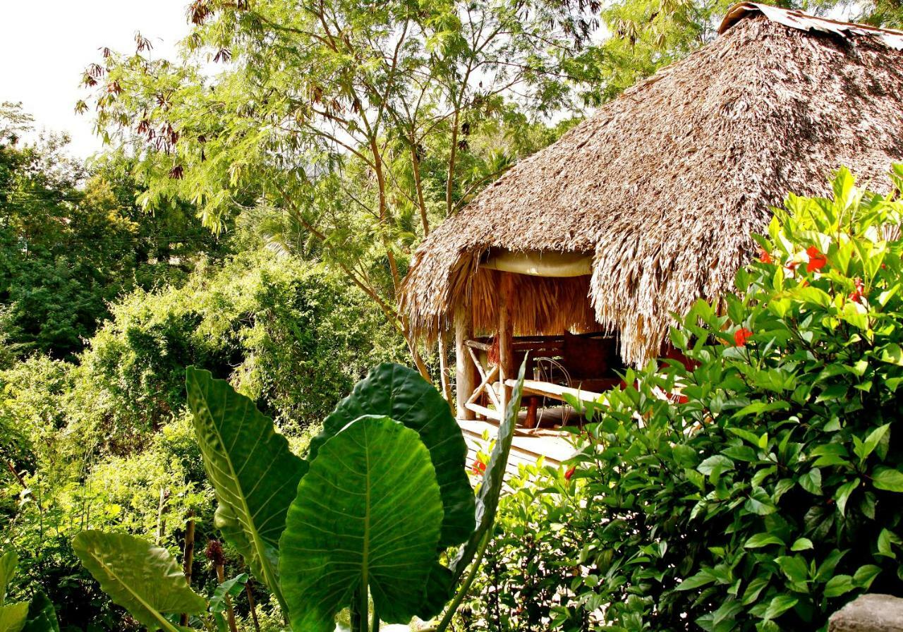 Ecolodge Tubagua Puerto Plata מראה חיצוני תמונה